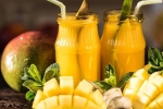 mangoes, organic mangoes, longing for indian mangoes here are the best places to buy indian mangoes in america, Mango growers
