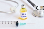 TB, covid-19, bcg vaccination a possible game changer us scientists, Ghazi