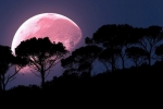 coronavirus, supermoon, april s super pink moon to rise today biggest of the year, Supermoon coronavirus, supermoon, april s super pink moon to rise today biggest of the year, Supermoon