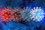 new coronavirus variant, C.1.2 variant dangerous, latest coronavirus variant evades vaccine protection, Mauritius