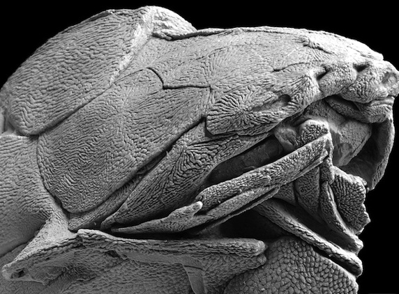 Amazing data on Man's past showcased!