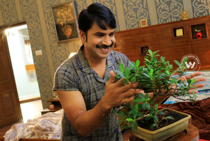 /media/k2/galleries/66211/Jamba-Lakidi-Pamba-05