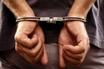 Smuggling Foreigners, Sandhu, 61 year old indian origin man jailed for 5 years for smuggling foreigners including indians into america, Lawson