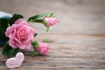 long distance mothers day gifts, mother's day away from home, 8 ways to send love to your mom on mother s day even when you are away from home, Mothers day