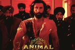 Animal Filmfare Awards, Animal film, record breaking nominations for animal, Anil kapoor