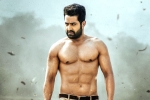 Pooja Hegde, Aravinda Sametha Veera Raghava updates, ntr turns aravinda sametha veera raghava, Six pack Pooja Hegde, Aravinda Sametha Veera Raghava updates, ntr turns aravinda sametha veera raghava, Six pack
