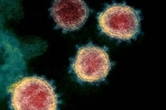 Coronavirus, Coronavirus new updates, face covid 26 and covid 32 warns experts, Financial crunch