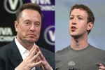 Elon Musk Vs Mark Zuckerberg breaking news, Elon Musk, elon musk vs mark zuckerberg rivalry, Mark zuckerberg