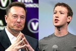 Elon Musk and Mark Zuckerberg breaking, Mark Zuckerberg, elon vs zuckerberg mma fight ahead, Mark zuckerberg