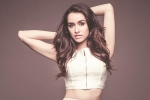 Saaho latest, Saaho updates, heroine locked for saaho, Bollywood heroine Saaho latest, Saaho updates, heroine locked for saaho, Bollywood heroine
