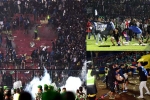 Indonesia Football Match Stampede, Indonesia Football Match latest, indonesia football match stampede kills 125 people, Tear gas