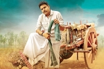 Pawan Kalyan, Pawan Kalyan, katamrayudu teaser release date, Katamrayudu