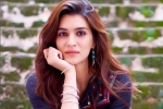 Bollywood, Entertainment, kriti sanon tested positive for covid 19, Bmc