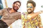 Naga Chaitanya birthday posters, Naga Chaitanya, naga chaitanya gearing up with two films, Nagarjuna akkineni