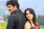 Anushka updates, Nag's next, nag and anushka to team up, Om namo venkatesaya