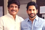 Nagarjuna latest, Nagarjuna twitter, nagarjuna s clarification on naga chaitanya s divorce, Nagarjuna akkineni