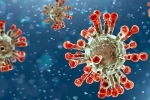 China Covid Row latest, China Covid Row updates, new china coronavirus variant traced in india, Omicron