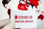 WHO, Omicron USA updates, omicron is no worse than other variants says us scientists, Omicron usa