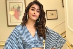 Pooja Hegde, Pooja Hegde new film, pooja hegde in pink remake, Pink remake