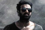 Prabhas six pack look, Prabhas upcoming projects, prabhas to showcase his abs in salaar, Six pack Prabhas six pack look, Prabhas upcoming projects, prabhas to showcase his abs in salaar, Six pack