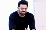 Prabhas news, Prabhas updates, prabhas to return back to work, Ashwini dutt Prabhas news, Prabhas updates, prabhas to return back to work, Ashwini dutt