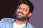 Prabhas investment, Salaar, prabhas investing huge in dubai, Huge investment