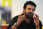 Prabhas and Sree Leela, Prabhas next movie, two young beauties in talks for prabhas next, Pelli sandad Prabhas and Sree Leela, Prabhas next movie, two young beauties in talks for prabhas next, Pelli sandad
