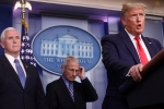 quarantine, cdc, quarantine will not be necessary president trump about new york lockdown, Travel advisory