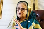 Sheikh Hasina court, Sheikh Hasina investigation, bangladesh ex prime minister sheikh hasina found guilty, Diff