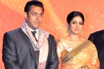 Salman Khan news, Salman Khan updates, sridevi to work with salman khan, English vinglish