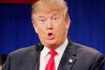 Trump's investments in India, Donald Trump, donald trump s investments in india to impact us foreign policy, Trump s win