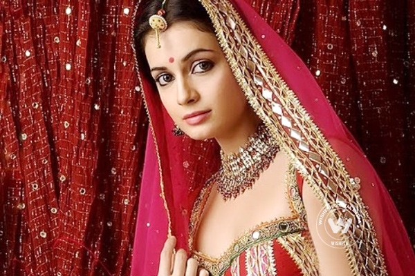Dia Mirza's wedding postponed again},{Dia Mirza's wedding postponed again